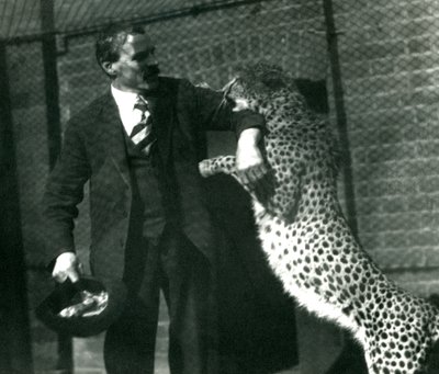Il custode Charles Dixon con un ghepardo giocoso allo Zoo di Londra, ottobre 1922 da Frederick William Bond